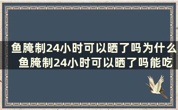 鱼腌制24小时可以晒了吗为什么 鱼腌制24小时可以晒了吗能吃吗